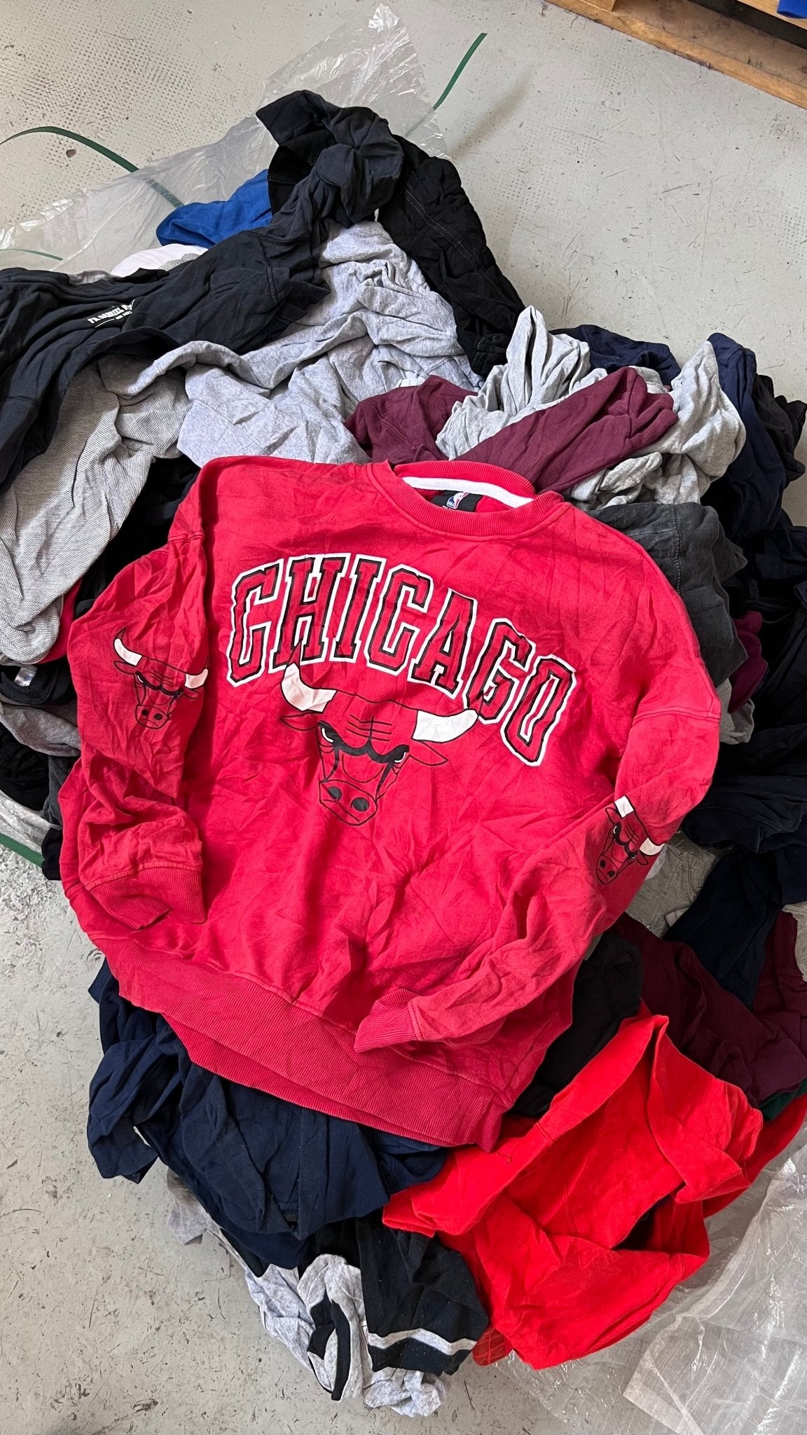 10x Sudaderas PRO-SPORT USA - SP Vintage Wholesale  