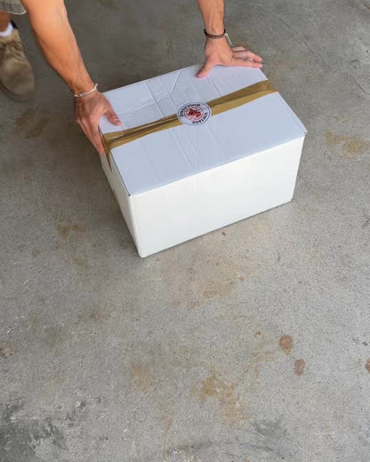 LACOSTE VINTAGE STARTER BOX